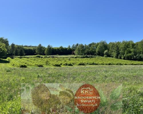 Działka 3580 m2 w Kazimierzu Dolnym 4 km od rynku.