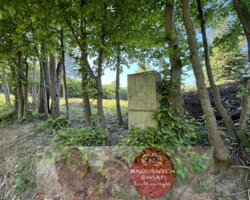 Działka 3580 m2 w Kazimierzu Dolnym 4 km od rynku.