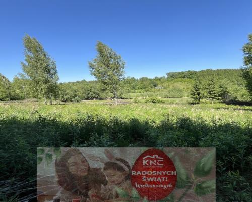 Działka 3580 m2 w Kazimierzu Dolnym 4 km od rynku.