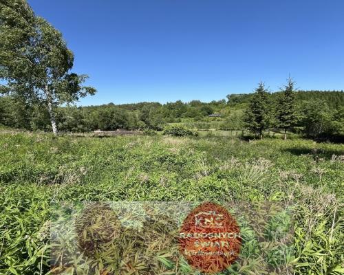 Działka 3580 m2 w Kazimierzu Dolnym 4 km od rynku.