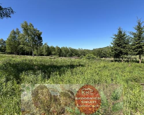 Działka 3580 m2 w Kazimierzu Dolnym 4 km od rynku.