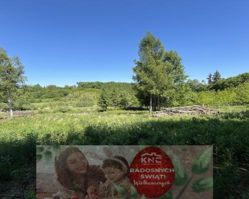 Działka 3580 m2 w Kazimierzu Dolnym 4 km od rynku.