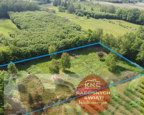 Działka 3580 m2 w Kazimierzu Dolnym 4 km od rynku.