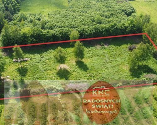 Działka 3580 m2 w Kazimierzu Dolnym 4 km od rynku.