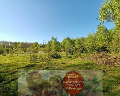 Dom na działce 4883 m2 z WZ w Gródku.