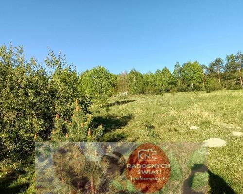 Dom na działce 4883 m2 z WZ w Gródku.