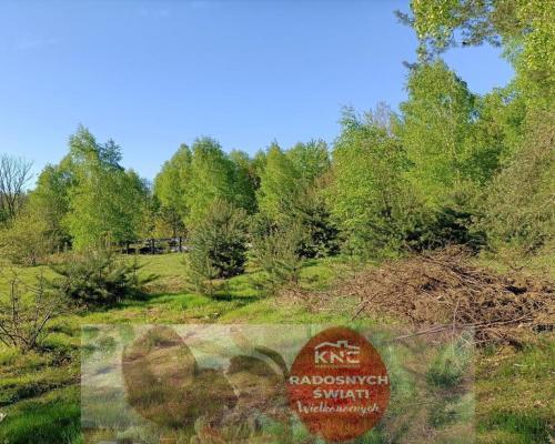 Dom na działce 4883 m2 z WZ w Gródku.