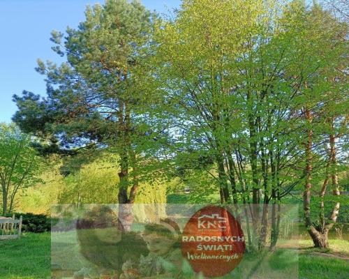 Dom na działce 4883 m2 z WZ w Gródku.