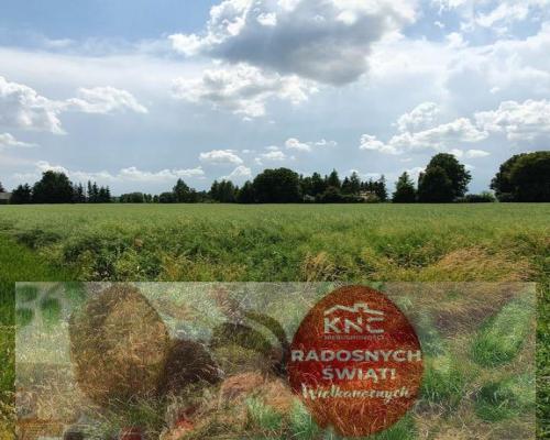 Piękna, duża działka w spokojnej okolicy - Pólko