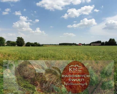 Piękna, duża działka w spokojnej okolicy - Pólko