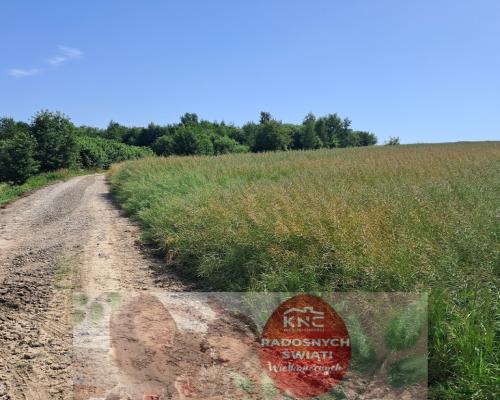 Gm. Rybczewice - Częstoborowice -siedlisko - 20ar