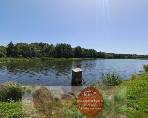 Gm. Rybczewice - Częstoborowice -siedlisko - 20ar