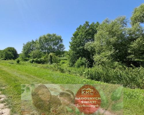 Gm. Rybczewice - Częstoborowice -siedlisko - 20ar