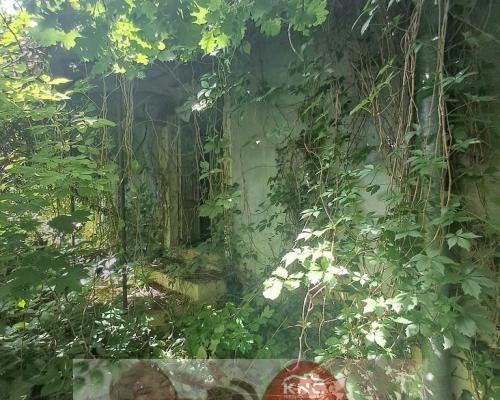 Gm. Rybczewice - Częstoborowice -siedlisko - 20ar