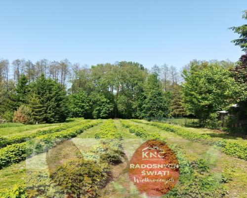 Dom z dużą działką - doskonały dojazd do Lublina