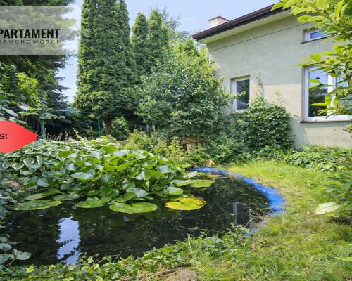 Dom i kawalerka z ogrodem. Aleksandrów Kujawski