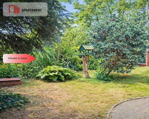 Dom i kawalerka z ogrodem. Aleksandrów Kujawski