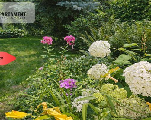 Dom i kawalerka z ogrodem. Aleksandrów Kujawski