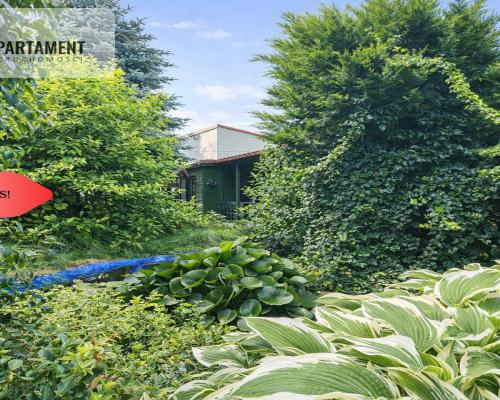 Dom i kawalerka z ogrodem. Aleksandrów Kujawski