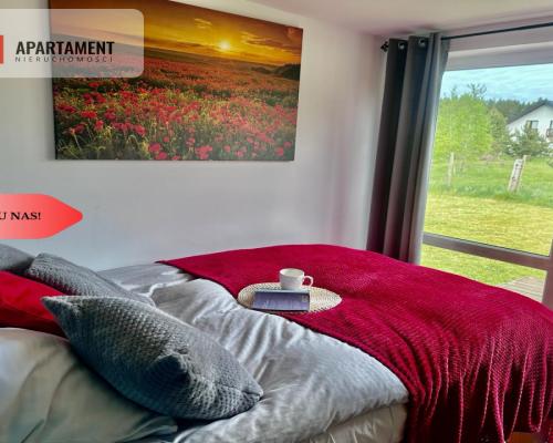 Tylko u nas! Urokliwy Domek w Sercu Kaszub.