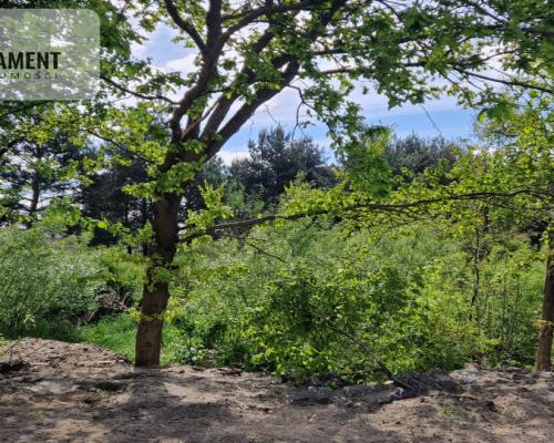 Centrum Łochowa -ogródek, BEZ PROWIZJI ,bez PCC