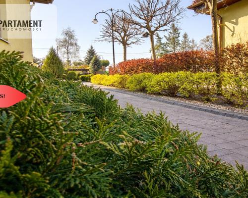 Dom + hale + biuro | idealne pod działalność