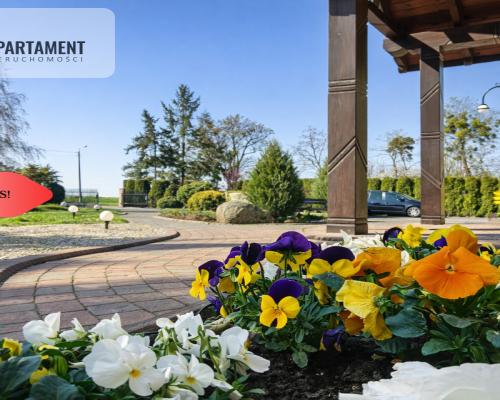 Dom + hale + biuro | idealne pod działalność