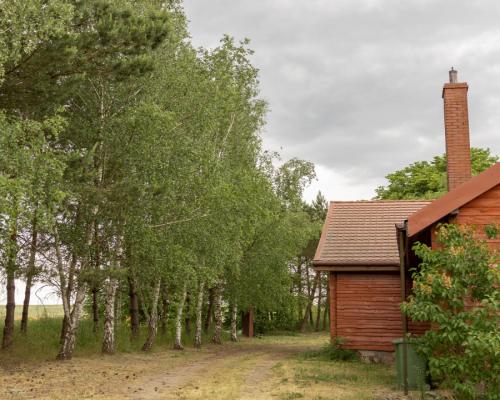 Klimatyczny Dom z bali drewnianych!