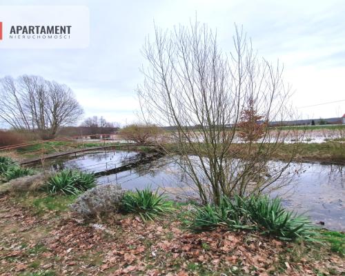 Klimatyczny Dom z bali drewnianych!