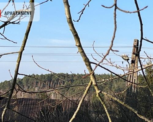 Magiczny dom dla wybranych , Żelichowo