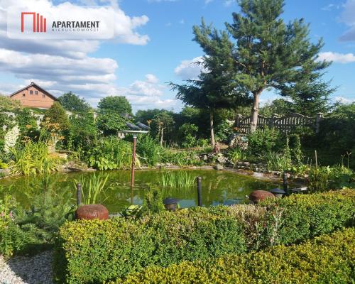 Duża działka 2500 mkw, dom z zapleczem.