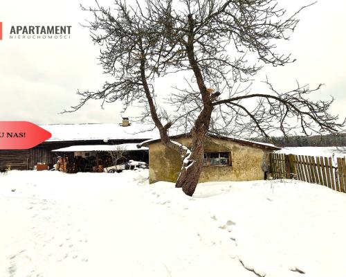 Siedlisko w Odrach z działką 12800 m2