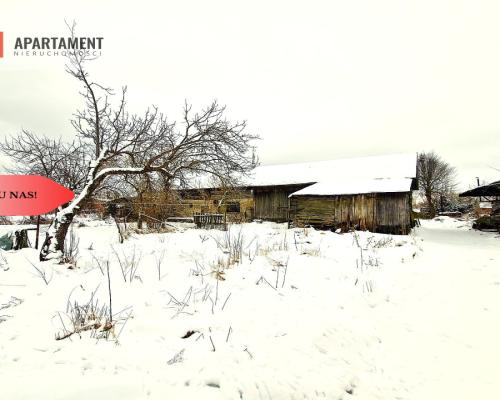 Siedlisko w Odrach z działką 12800 m2