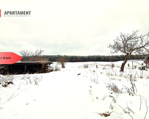 Siedlisko w Odrach z działką 12800 m2