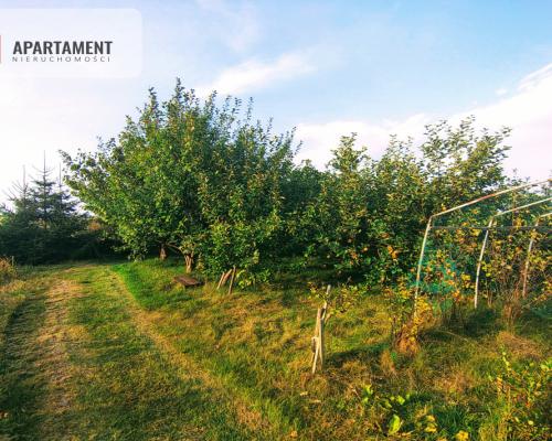 Leśna chata! Jedyny, niepowtarzalny dom z duszą!