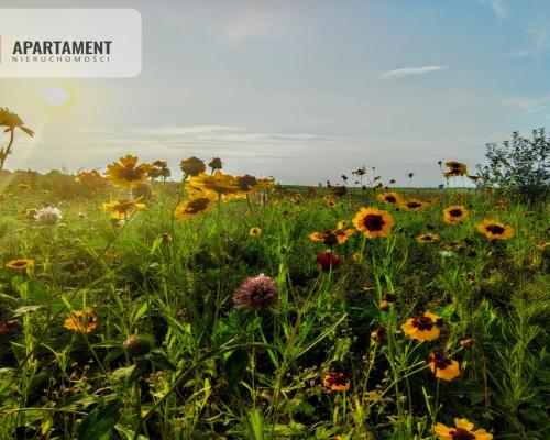 Leśna chata! Jedyny, niepowtarzalny dom z duszą!