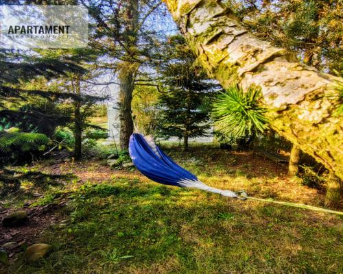 Leśna chata! Jedyny, niepowtarzalny dom z duszą!