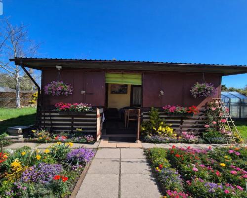 Działka ROD Gdańsk Olszynka ,, Motława "