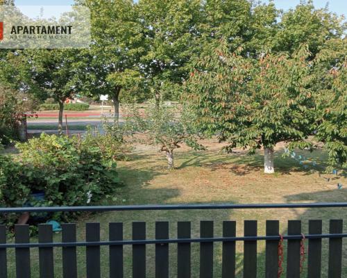 Dom z lokalem do najmu sprzedam w Kwidzynie