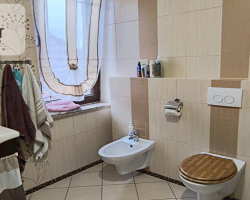 Dom z alpakarnią, stawem i dużą działką – Więckowy