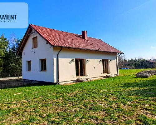 Dom  nad jeziorem!!Blisko lasu!