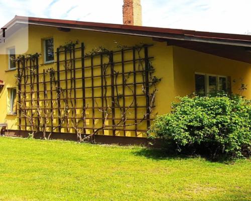 Dom z potencjałem na dużej działce!