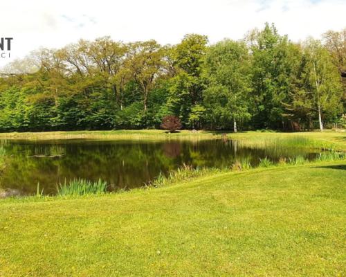 Dom z potencjałem na dużej działce!