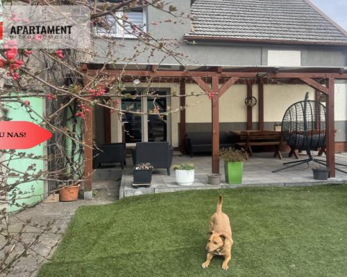 Przytulny dom w Chocanowie