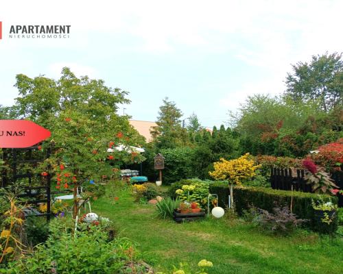 Atrakcyjna loklizacja dobra cena !