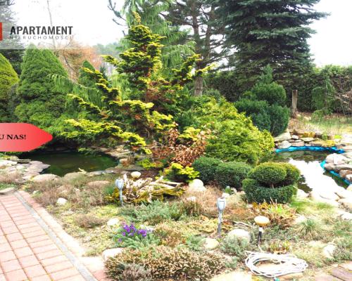 2 Domy Ranczo przy drodze krajowej. Podział