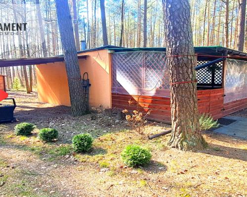 Jeszcze niższa cena!Domek w lesie blisko jeziora!