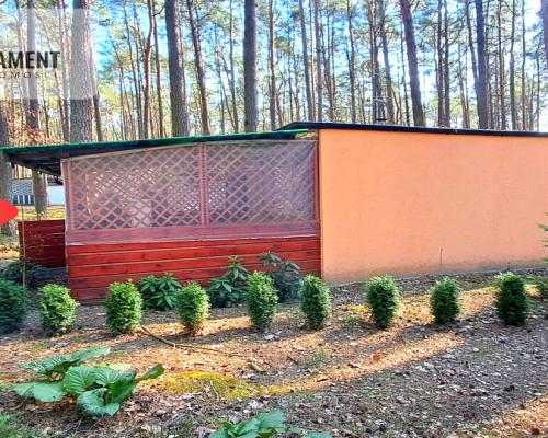 Jeszcze niższa cena!Domek w lesie blisko jeziora!