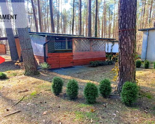 Jeszcze niższa cena!Domek w lesie blisko jeziora!