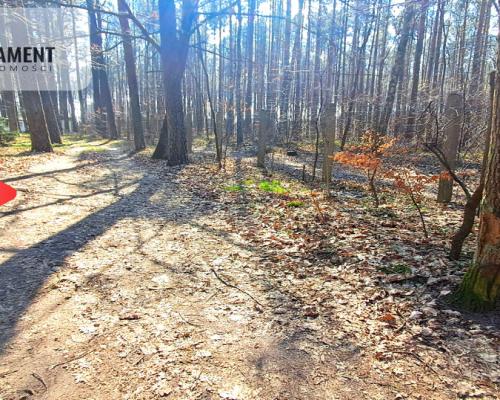 Jeszcze niższa cena!Domek w lesie blisko jeziora!